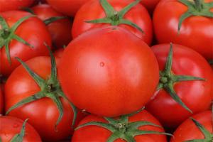 色差仪检测番茄红素的颜色差异方法
