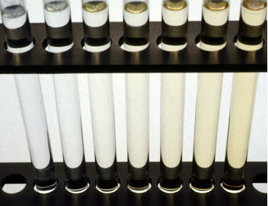 1742797286587708.png image.png