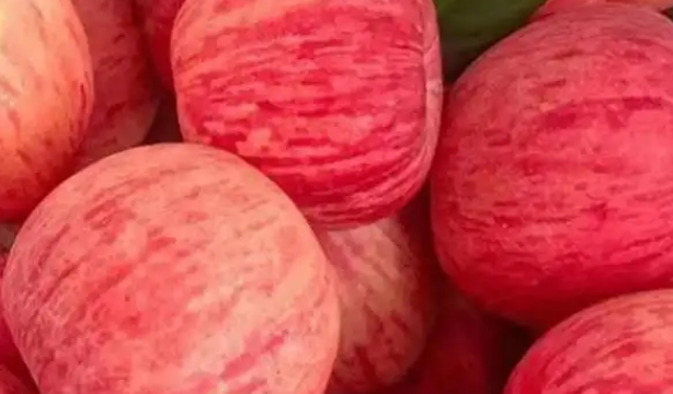 1754389938591102.png image.png