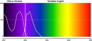 测量荧光增白剂颜色：OBA化学染料导致的“假白”效果